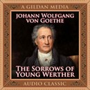 The Sorrows of Young Werther by Johann Wolfgang Goethe